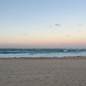 Meet your Posher, Sylvia